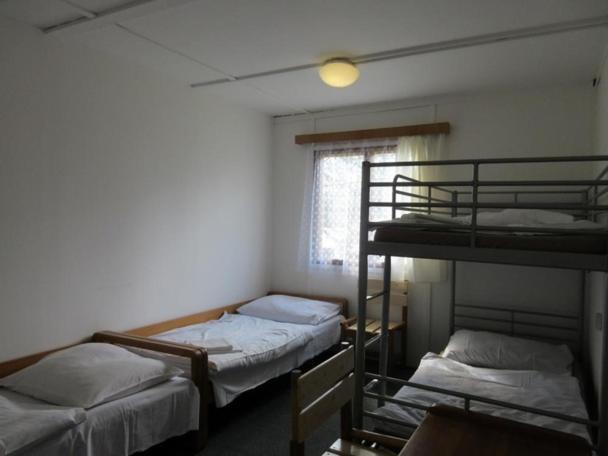 Hotel Zvikov 3*